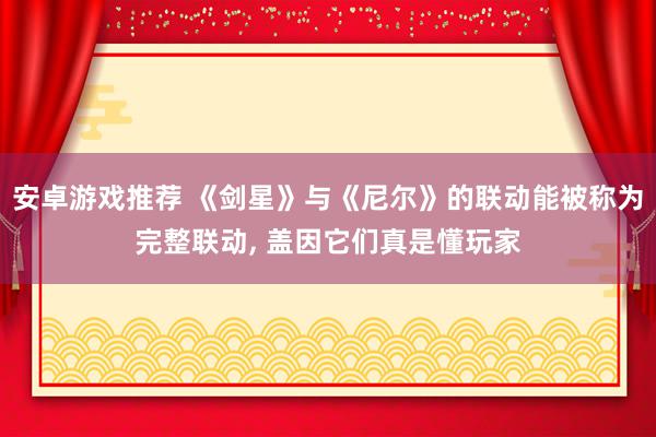 安卓游戏推荐 《剑星》与《尼尔》的联动能被称为完整联动, 盖因它们真是懂玩家