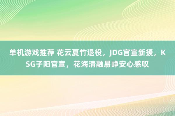 单机游戏推荐 花云夏竹退役，JDG官宣新援，KSG子阳官宣，花海清融易峥安心感叹