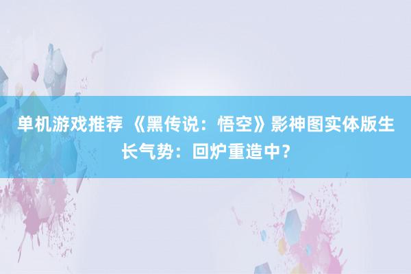 单机游戏推荐 《黑传说：悟空》影神图实体版生长气势：回炉重造中？